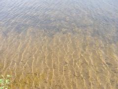 lakes (750)
